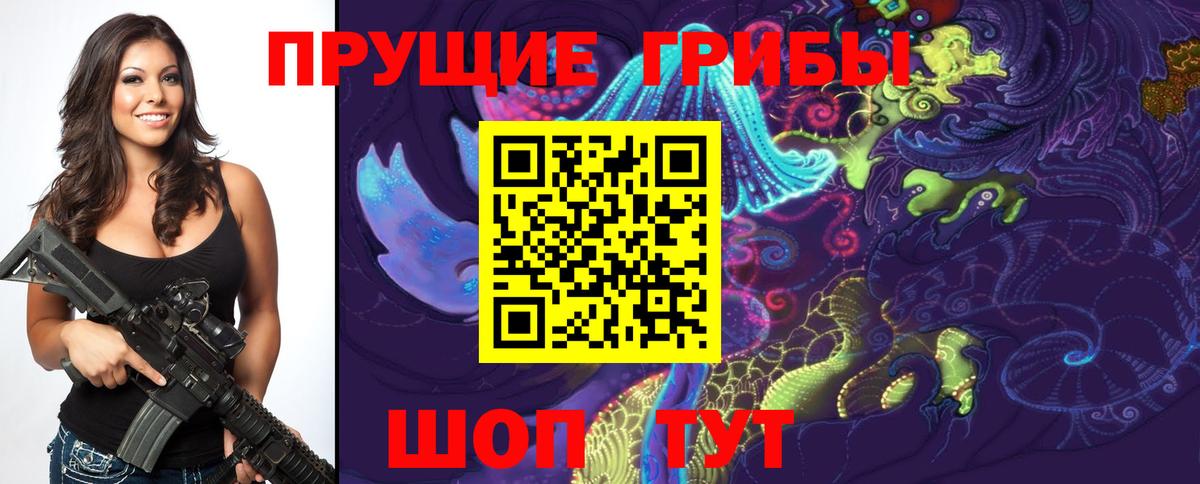 Псилоцибиновые грибы прущие грибы Елец