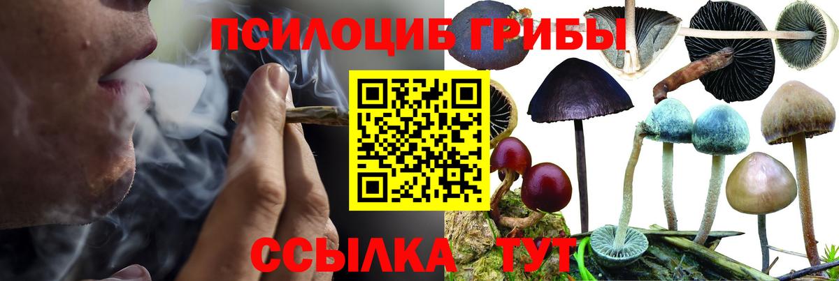 Елец  Псилоцибиновые грибы ЛСД  Вход с VPN 