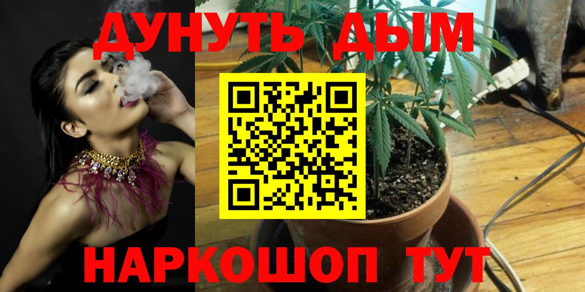 Марихуана ГИДРОПОН  Каннабис Ganja  Вход с VPN  Конопля VHQ  Елец  Бошки Шишки Bruce Banner 